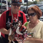 Harley and Davidson waiting for a nail trim!